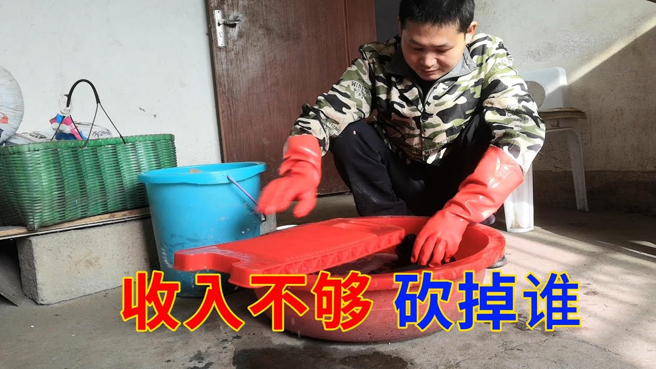 如果收入低于3000，我能怎么办，先砍谁 