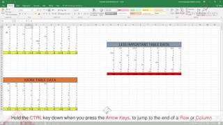 Celebrity Microsoft Excel 5 Time Saving Tips Profile