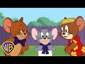 Best Of Jerry And Tuffy Tom Jerry KidsCartoons Wbkids 