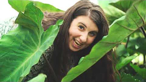 2020 Virtual Trial Garden Tour 8 - Red, White, and Blue