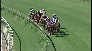 20190608 Greyville express clip Race 1 won by MORE THAN A DIME
