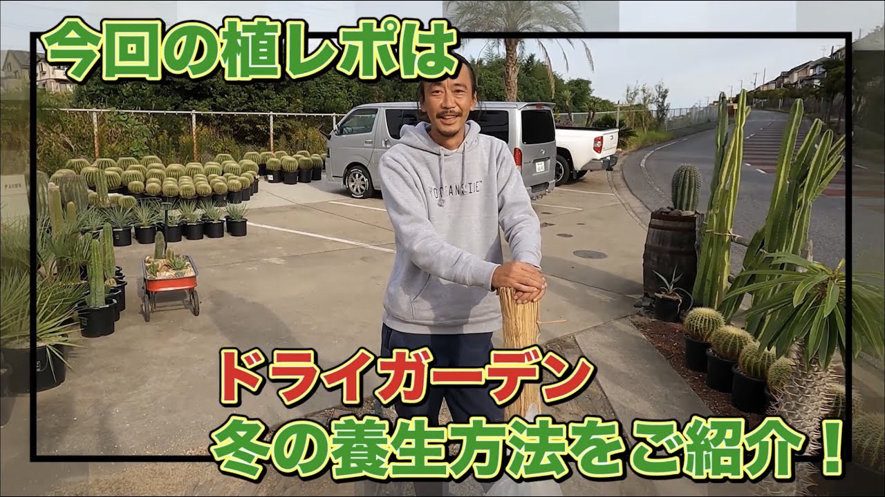 初心者必見】ドライガーデンの冬の養生・越冬作業編【ガーデニング】金