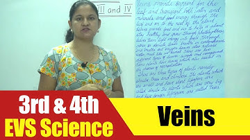 3rd & 4th EVS Science | Veins | CBSE Science Syllabus