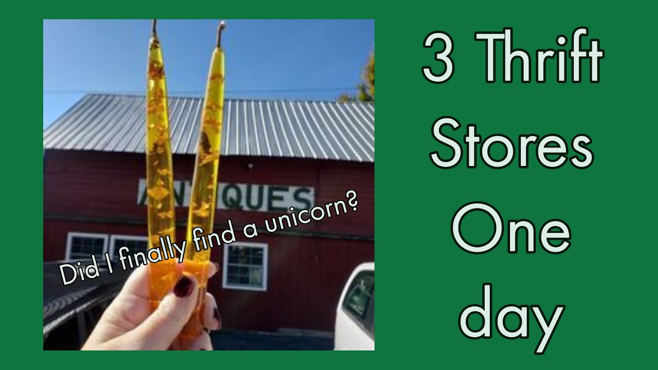 3 Thrift Stores in One Day?