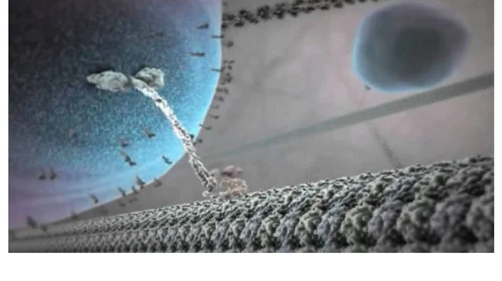 LFY The Inner Life of the Cell 3 min