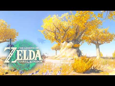 What Is Zonaite Forge Island