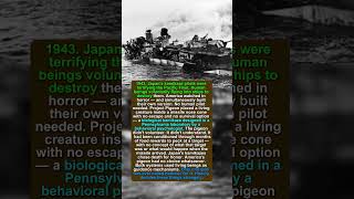 America's Secret Kamikaze Wasn't Japanese — It Had Wings And A Beak #ww2 #history