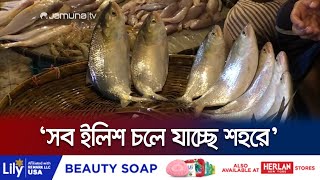 সব বড় ইলিশ চলে যাচ্ছে শহরে! উপকূলের বাজার চড়া | Bazar Today | Price Hike | Jamuna TV