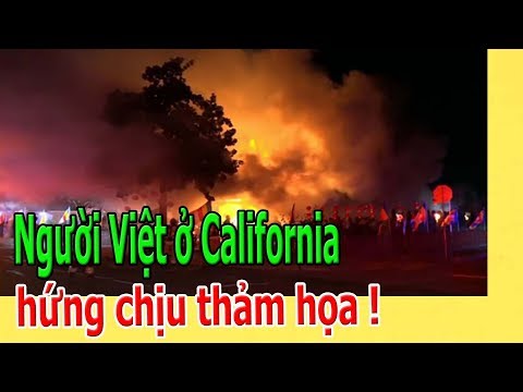 Video Người Việt ở California - youtube
