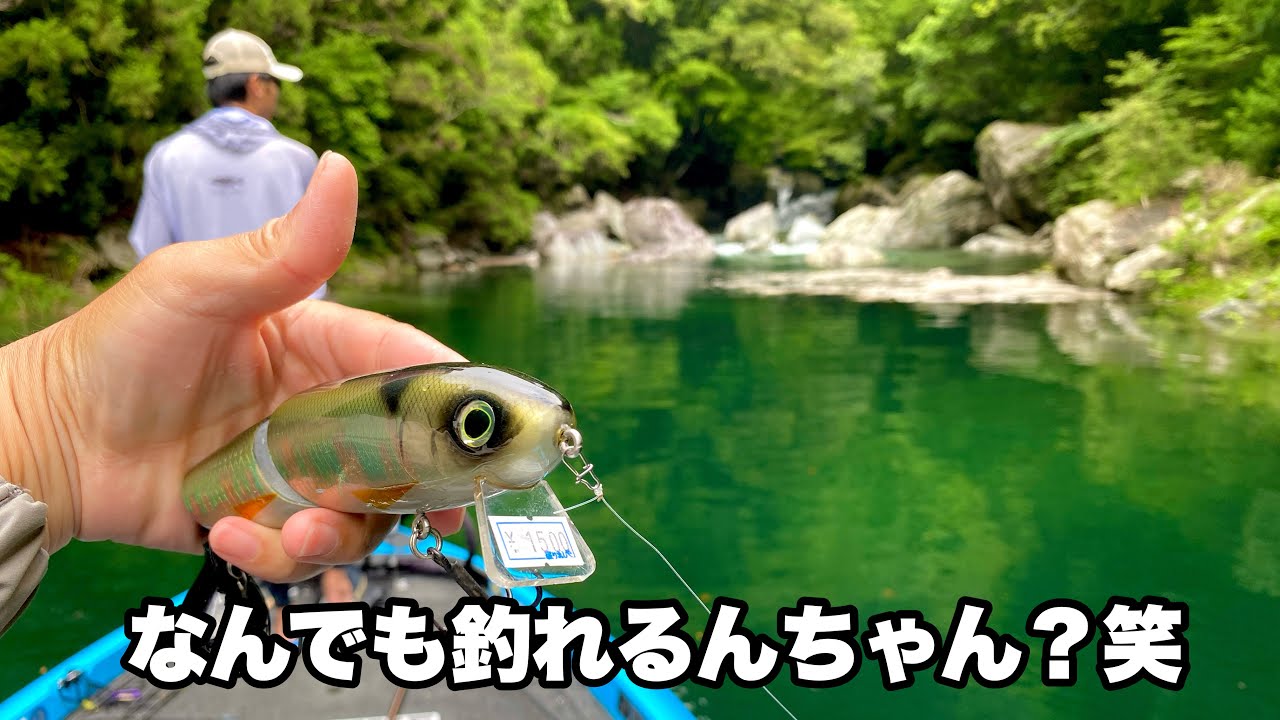 【楽園】日本一釣れると噂のダムで人生初ガイドを頼んでみたらボッコボコに釣れました笑