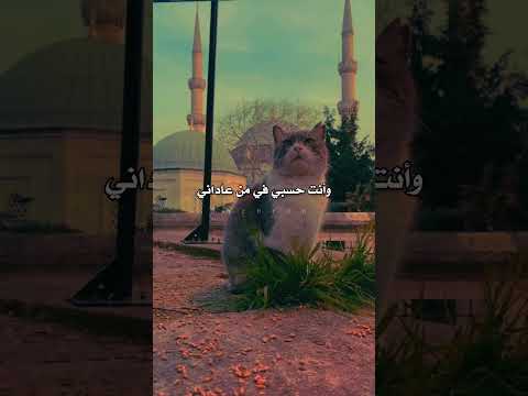 اللهم أنت حسبي في من ظلمني