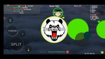 SO FAST ANGRY PANDA MACRO (UNCUT) (BLOB i.o)