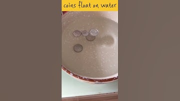 How do coins float on water