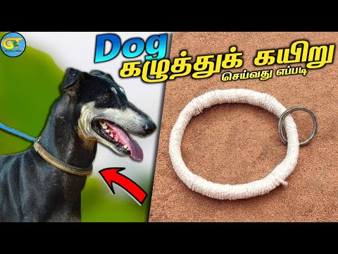 Dog Neck Rope Making in tamil|நாய்களுக்கு கழுத்து கயிறு பின்னுவது எப்படி