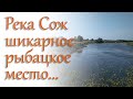 Река Сож. Клёвое рыбацкое место