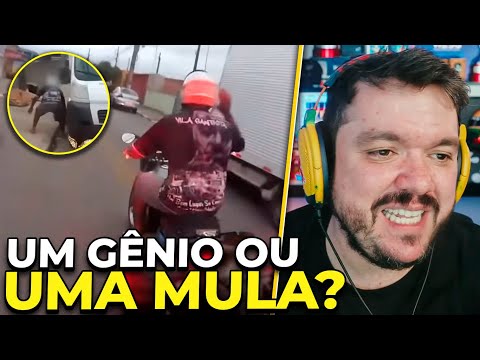GAULES REAGE: ENQUADROS DE MOTO (EP.59) GÊNIO OU MULA? | CORTES DO GAULES