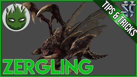 ViBE | Tips and Tricks - Zergling
