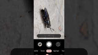 #pixel9A #pixel #pixel9Amacro #google pixel 9A