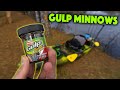 Fishing With Berkley Gulp 1" Minnows For Whatever Bites!