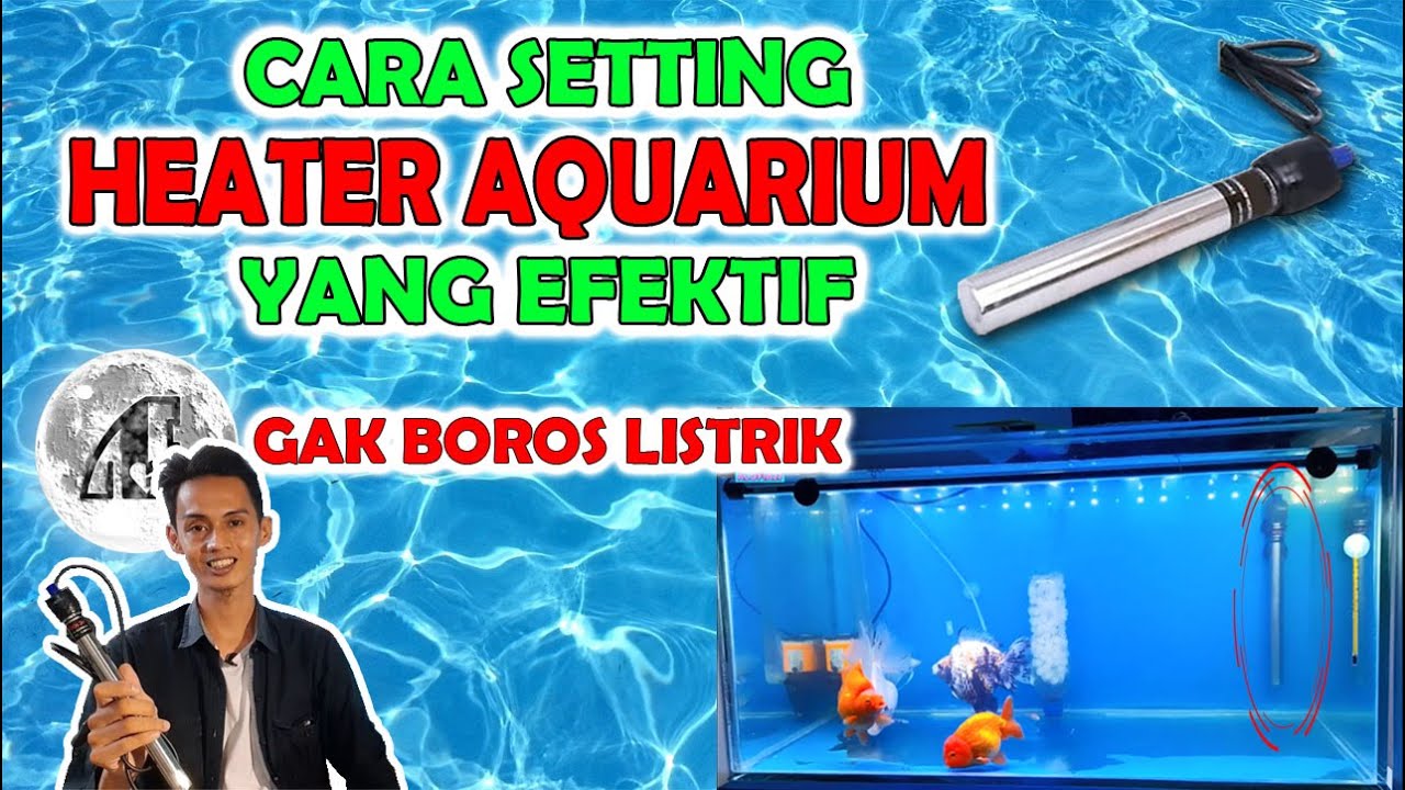 CARA SETTING HEATER AQUARIUM YANG BENAR, AGAR HEMAT LISTRIK YouTube