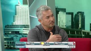Cesar Millan's tips for difficult pets