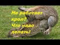 Самец не хочет спариваться? Крол не хочет крольчиху.