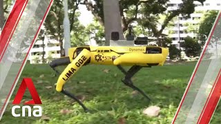 Details Four-legged robot to promote safe distancing at Bishan-Ang Mo Kio Park Guide