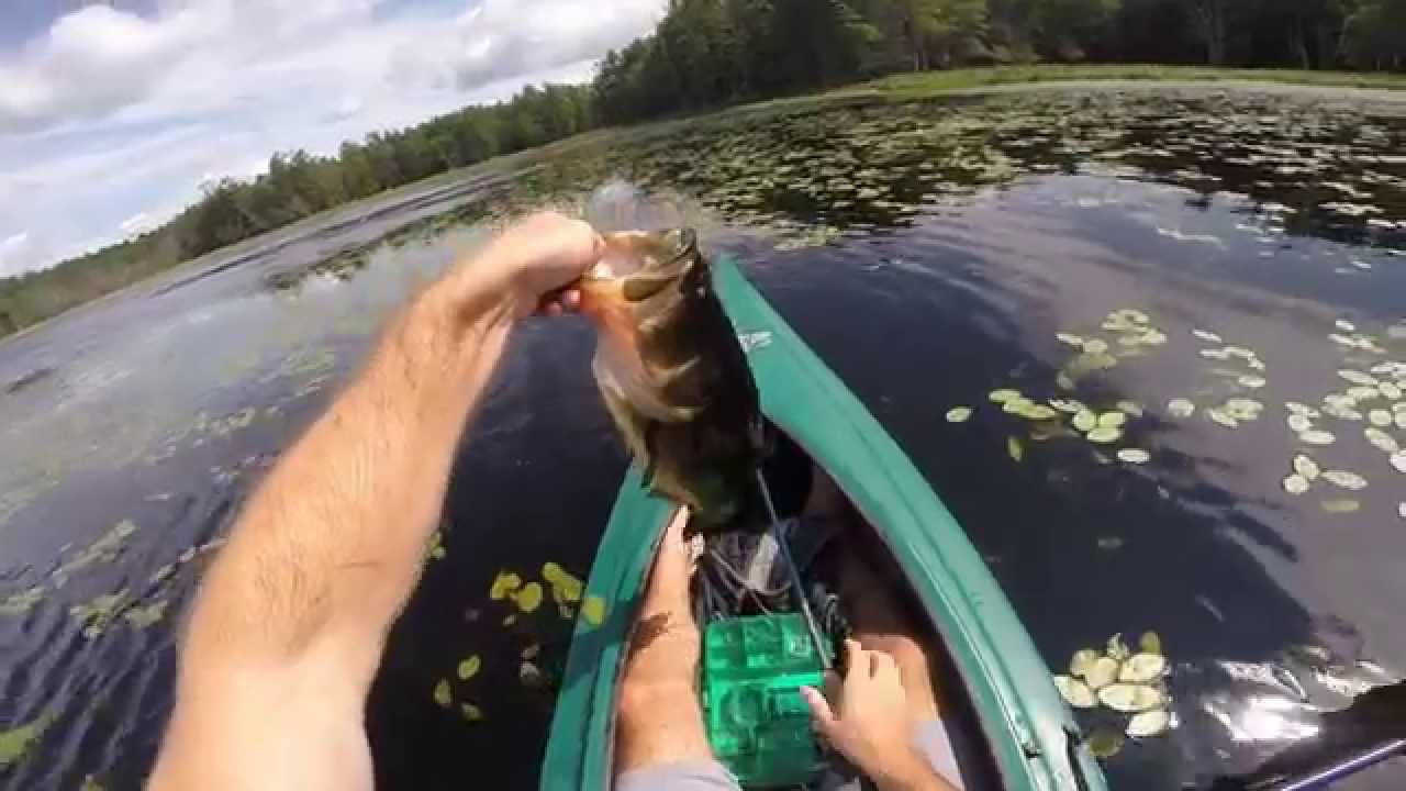 New Hampshire Summer Bass Fishing and Snapping Turtle YouTube