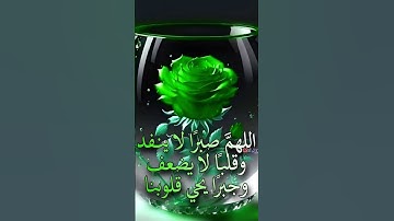#دعاء #دعاء_مستجاب #دعاء_حمزة_بوديب #القارئ_حمزة_بوديب #القران_الكريم #القارىء_اسلام_ #القارىء