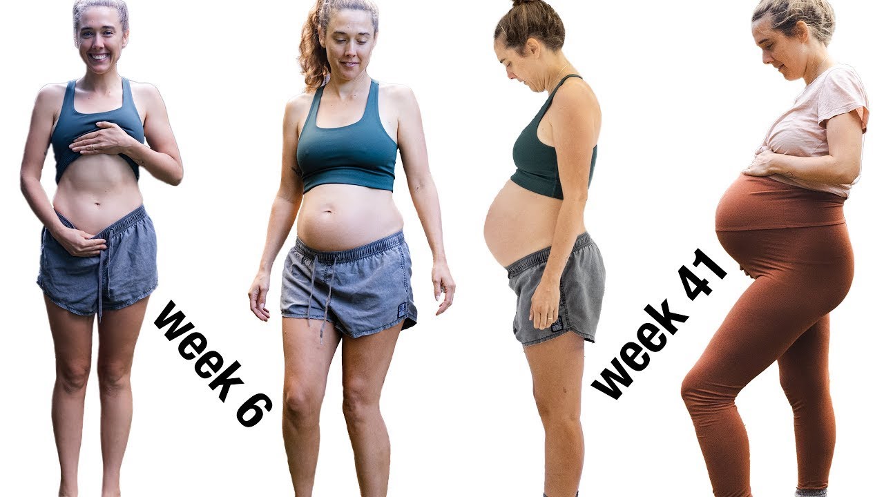 My Pregnancy Timelapse | Week By Week