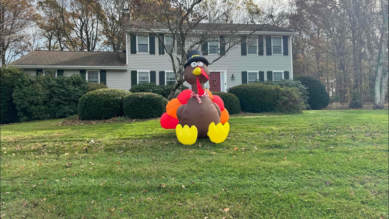 Helpful Thanksgiving Turkey buying and cooking tips!