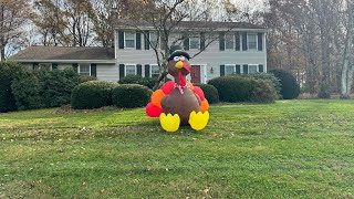 Helpful Thanksgiving Turkey buying and cooking tips!