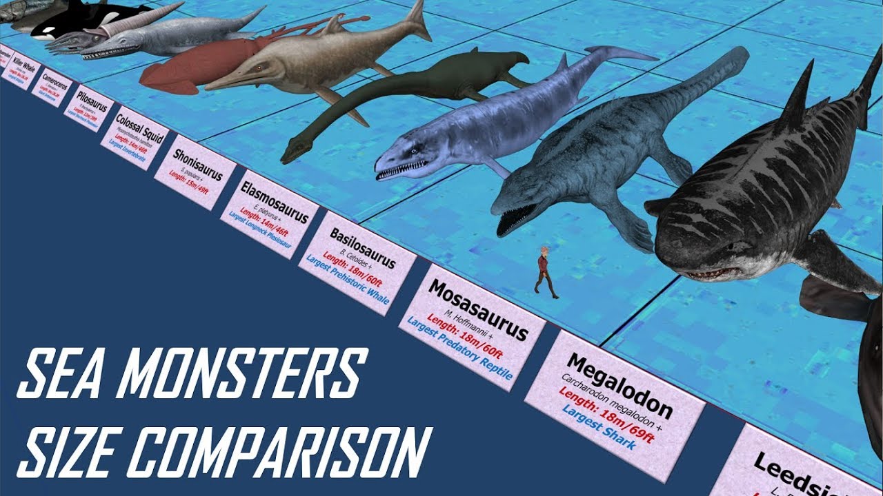 Sea Monsters Size Comparison - YouTube