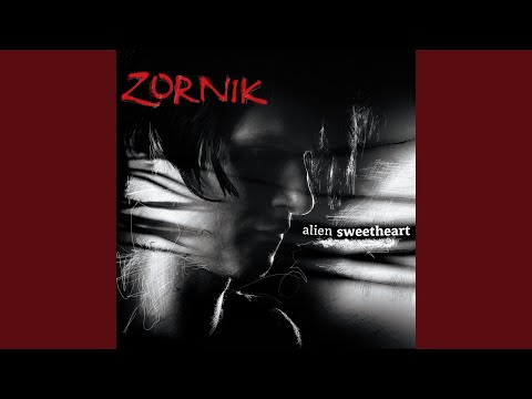 Zornik — Are You a Junkie?