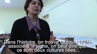 Nana Rusishvili, Paleobotanist, Itw Part3