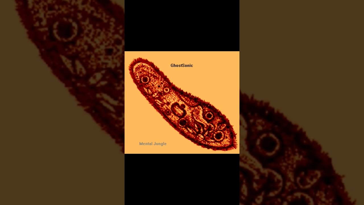 GhostSonic / Mental Jungle 