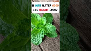 Mint Water  for Weight Loss Pudina Water weightloss mint pudina morningdrink