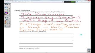 Previewing Text