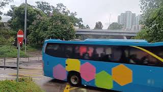 [北區首選]城巴 CTB 56原速行車片段(往菁田邨)