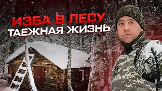 Таёжный быт! Изба в лесу! #жизньвлесу #жизньвтайге