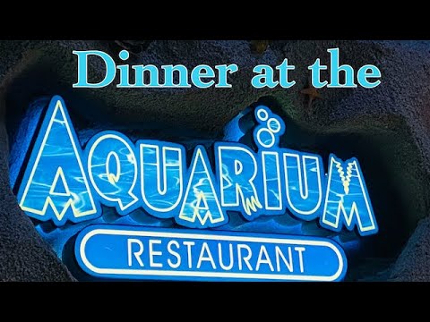 Video: Aquarium Pusat Bandar di Denver, Colorado