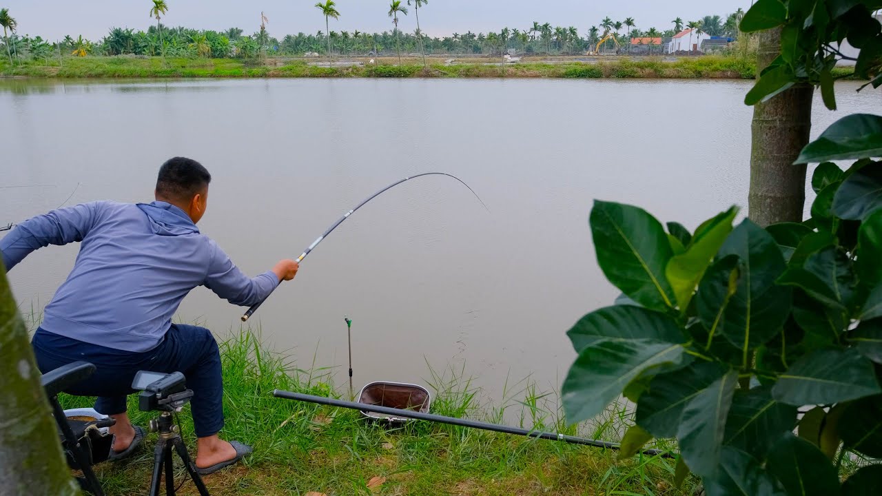 Lần đầu tiên đi câu cá hồ dịch vụ  - cá kéo cả người