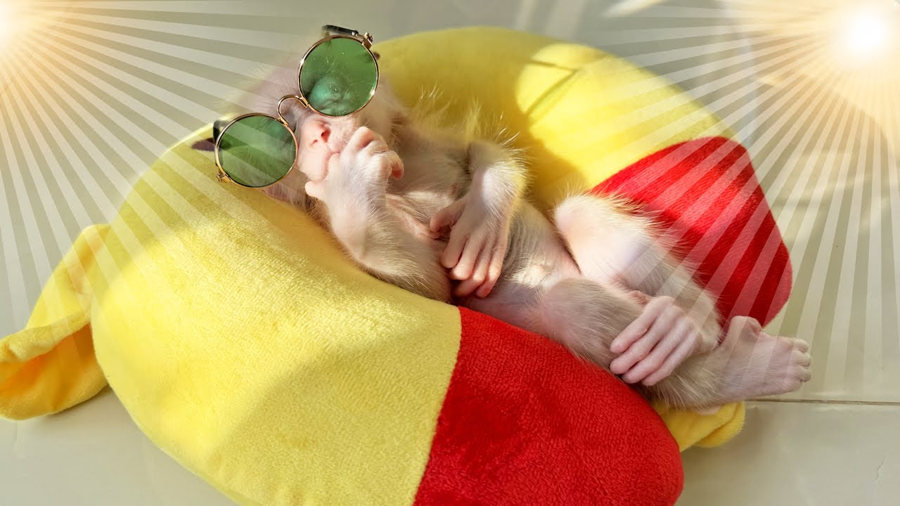 Sweet Dawn Lucky basks in the morning sunlight of her mother