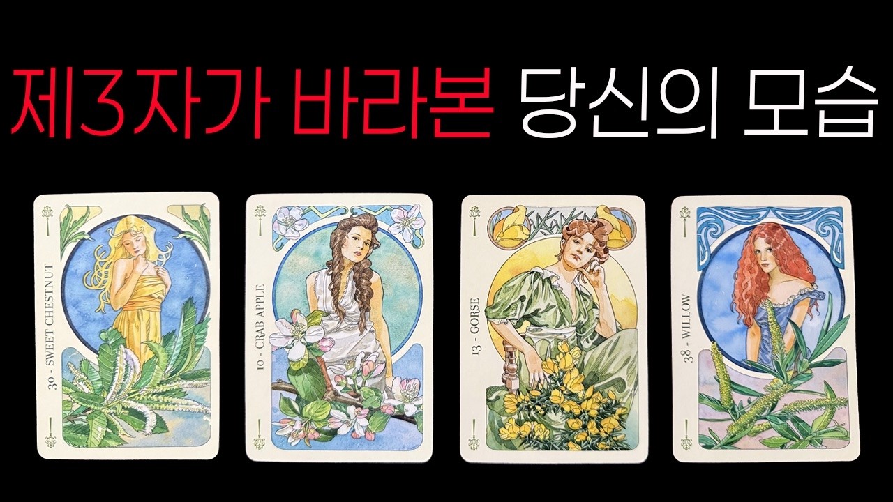 [타로] 제3자가 바라본 나의 모습💭 객관적으로 본 나의 이미지와 인상