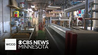 After Nearly 150 Years, St. Paul State Fish Hatchery Seeks Upgrades