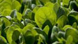 gnooze: August 29, 2007