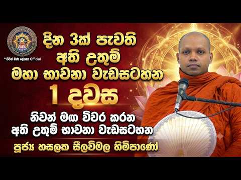 දින 3ක් පැවති අති උතුම් මහා භාවනා වැඩසටහන | Hasalaka Seelawimala Thero | 1 දවස
