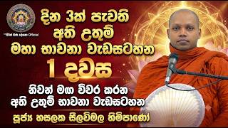 දින 3ක් පැවති අති උතුම් මහා භාවනා වැඩසටහන | Hasalaka Seelawimala Thero | 1 දවස