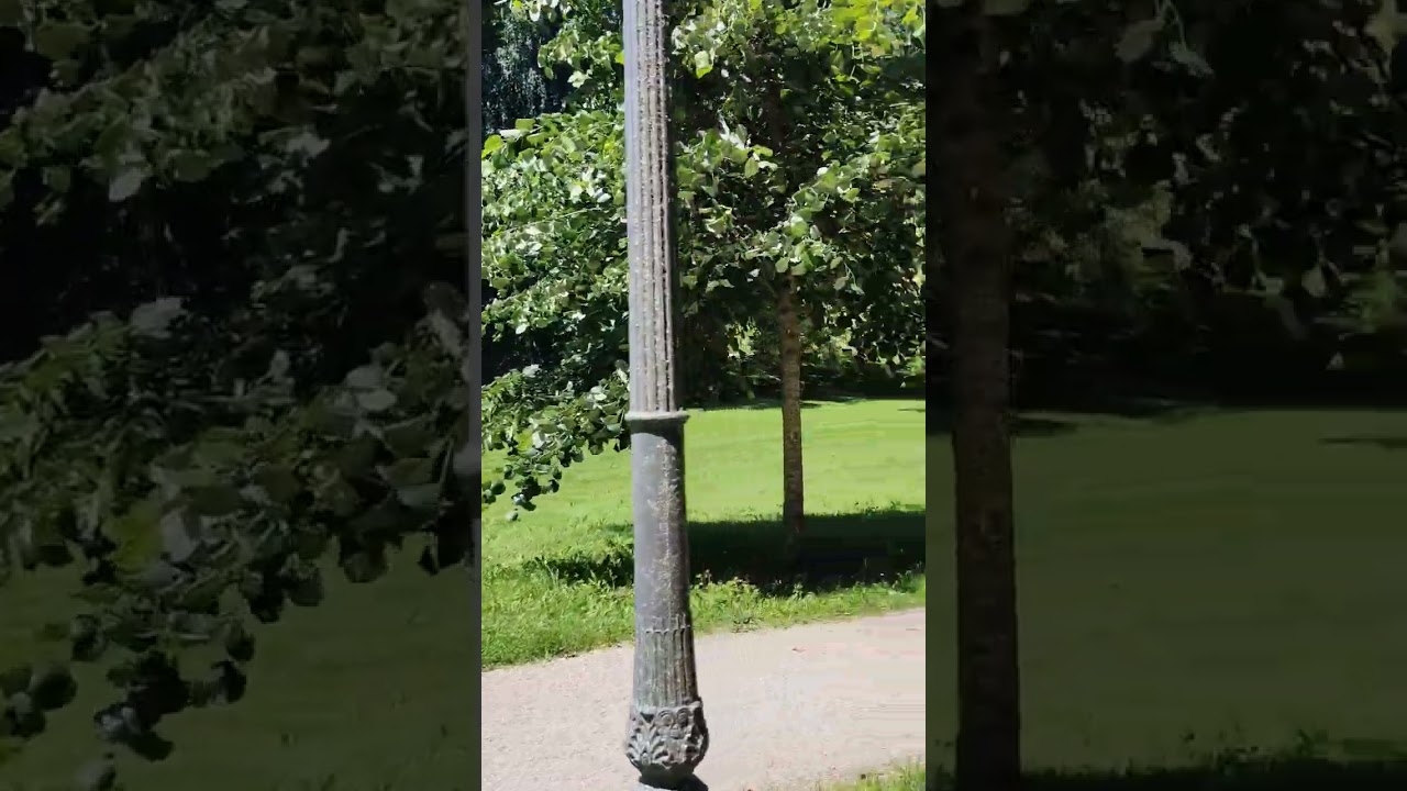 Парк. Баден-Баден.25.06.2024.