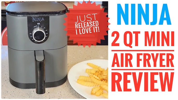 Best Mini Air Fryer 2 Quart Comparison NINJA, INSTANT, COSORI, DASH Back To  School 